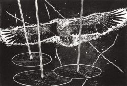 ein Holzschnitt von Akos Novaky