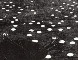 ein Holzschnitt von Franca Bartholomäi