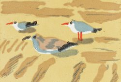 ein Farblinolschnitt von Gudrun Petersdorff