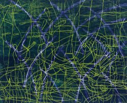 ein Farbholzschnitt von Gudrun Petersdorff