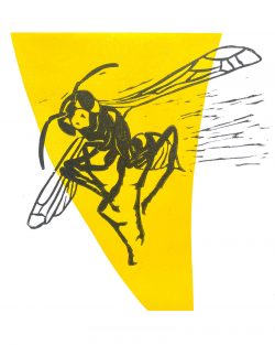 ein Holzschnitt von zwei Platten von Christa Rogger