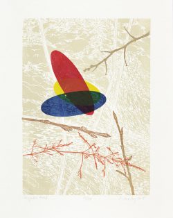 Grafik von Akos Novaky