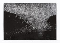 Ein Linolschnitt von Robert Marchewka